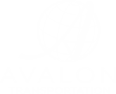 Charter Bus | Group Transportation